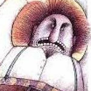 Adivina mis palabras