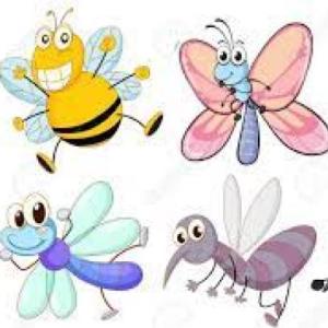 Insectos voladores