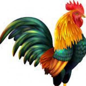 Portada del juego ANIMALES EN GUARANÍ – Idiomas
