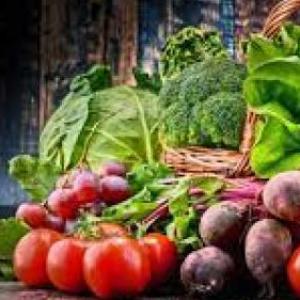 TRANSFORMACIÓN DE LOS ALIMENTOS