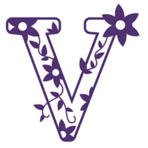 usos de la letra v y b