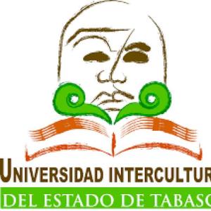 Oficios y profesiones en CHol
