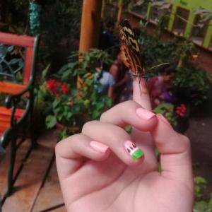 My best Trip