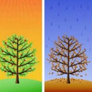 Seasons