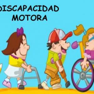 DISCAPACIDAD MOTRIZ