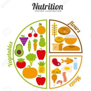 Portada del juego Alimentacion y Nutrientes – Alimentación