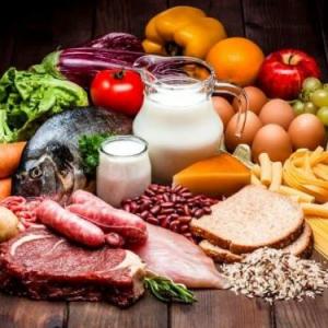 Los Alimentos