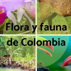 Flora y Fauna de Colombia