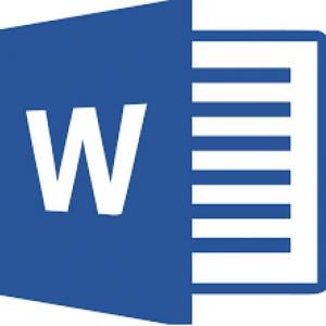 MS WORD