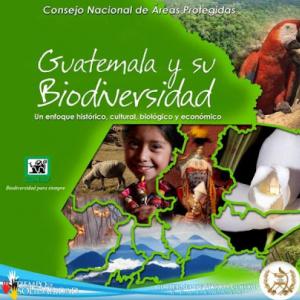 Recursos del Estado