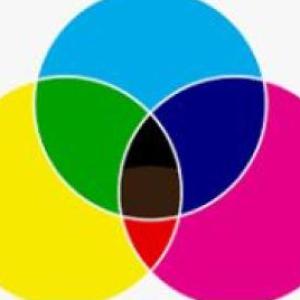 Encontramos las colores