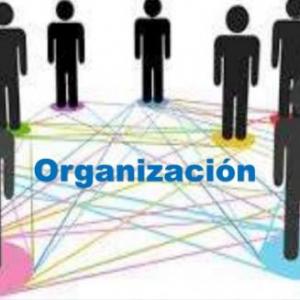 Las organizaciones