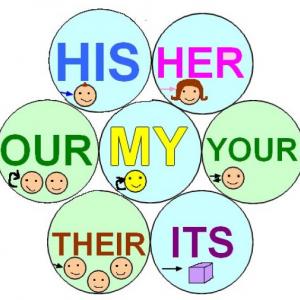 Possessive Adjectives