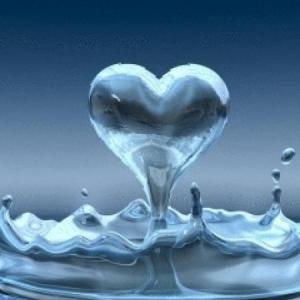El ciclo del agua 