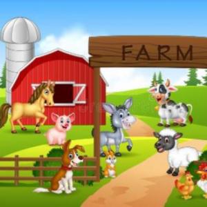FARM ANIMALS