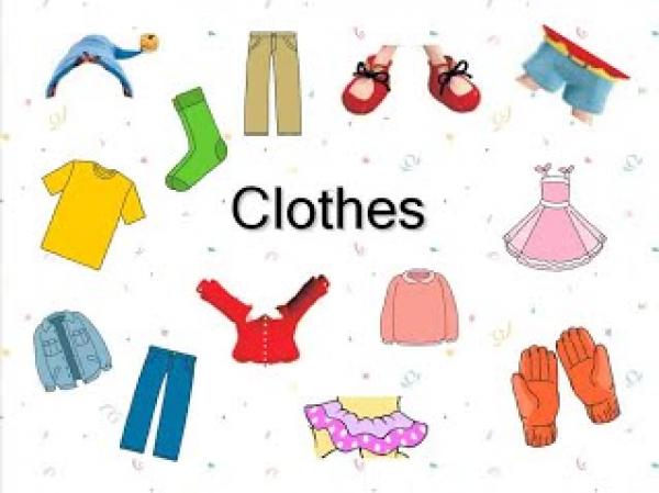 THE CLOTHES