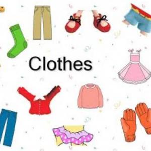 THE CLOTHES