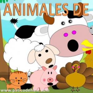 Animales