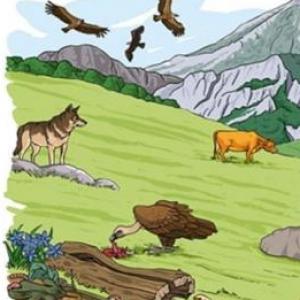La trivia del Ambiente