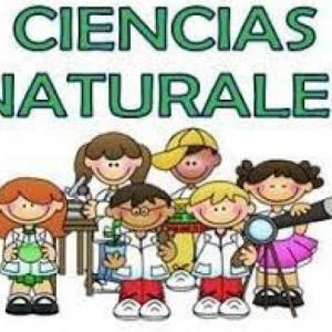 Reproducción de animales