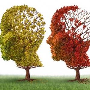 Aprendamos sobre Alzheimer jugando