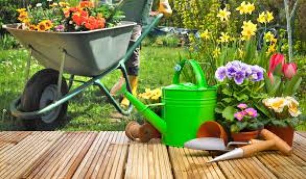 MEMOTEST: ELEMENTOS DE JARDINERÍA.