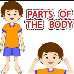 Imagen de portada del videojuego educativo: Body parts, de la temática Idiomas