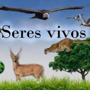 Seres vivos