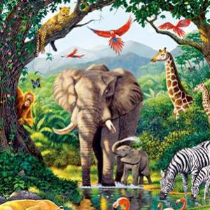 ANIMALES