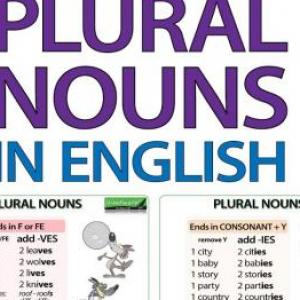 Imagen de portada del videojuego educativo: Regular Plural nouns, de la temática Idiomas
