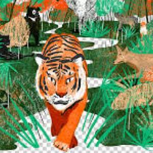 Al tigre al tigre
