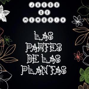 JUEGO DE LAS COINCIDENCIAS: PARTES DE LA PLANTA