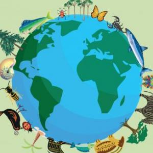 Imagen de portada del videojuego educativo: biodiversidad, de la temática Ciencias