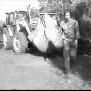 "HOMBRE QUE MIRA LA TIERRA"