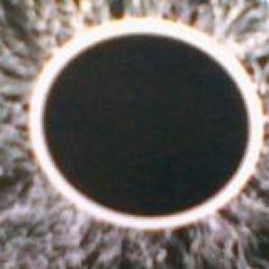 haorcado "1"