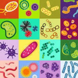 Imagen de portada del videojuego educativo: MICROBIOLOGIA- PREGUNTAS , de la temática Biología