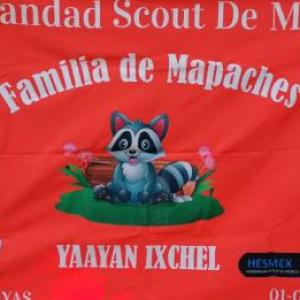 MAPACHES
