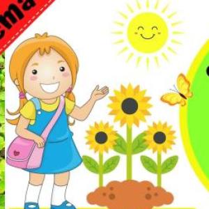 LAS PLANTAS Y SUS PARTES