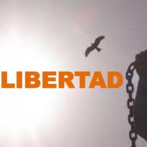 Portada del juego LA LIBERTAD Y LOS DESAFÍOS EN LA ADOLESCENCIA – Cultura general