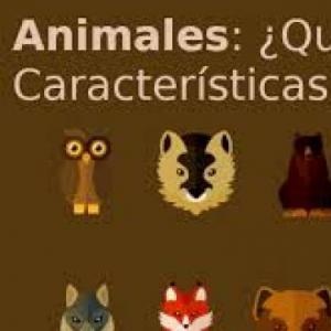 junta las características con el animal