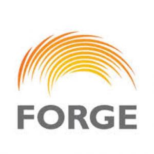 NIVEL 5 FORGE