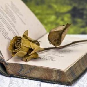 Texto Académicos