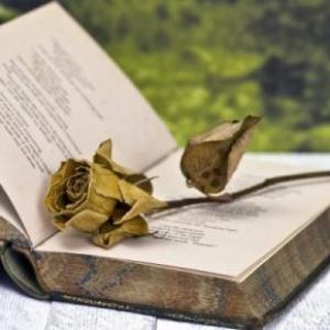 Texto Académicos