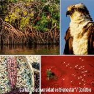 Trivia biodiversidad. 
