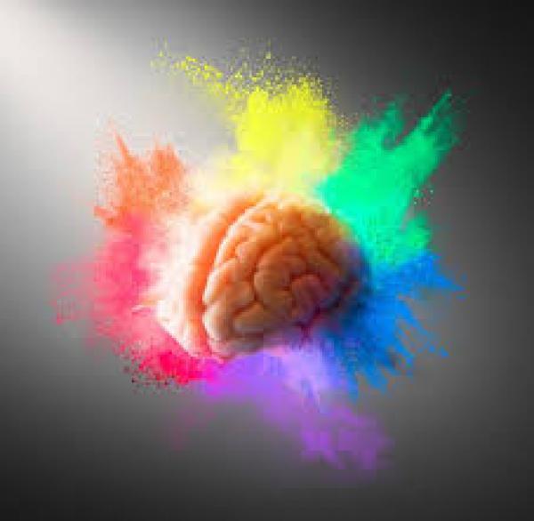 Juego de procesos cognitivos