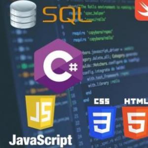 LENGUAJES DE PROGRAMACION