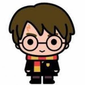 Memoria Harry Potter