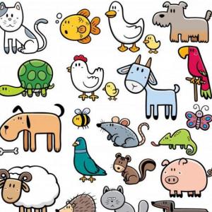 Cuales son los alimentos de los animales  Domésticos