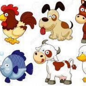 Los Animales Domésticos y sus características