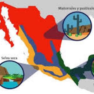 REGIONES DE MÉXICO